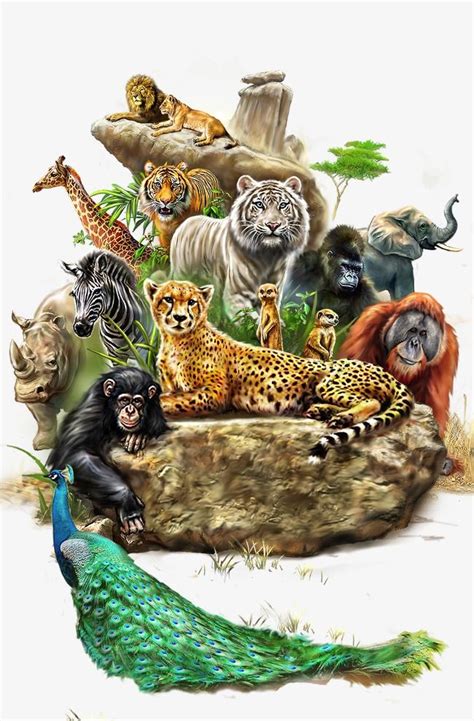 Animal PNG Images, Animal Clipart, Zoo PNG Transparent Background - Pngtree | Animal paintings ...