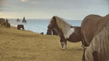 Ocean View GIFs - Find & Share on GIPHY