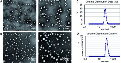 Representative TEM images of (A) PLGA nanoparticles and (B) drug-loaded ...