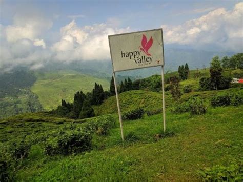 Happy Valley Tea Estate | Darjeeling - What to Expect | Timings | Tips - Trip Ideas by MakeMyTrip