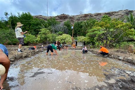 kipuka Olowalu | Camp Olowalu