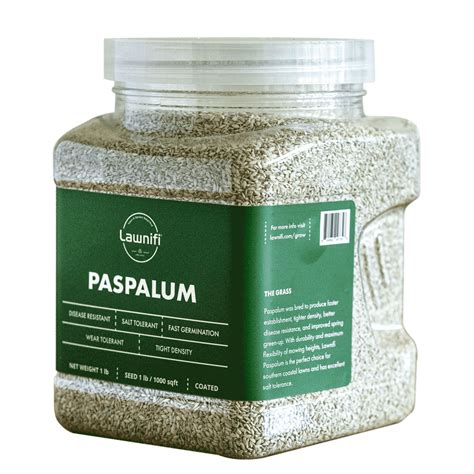 Lawnifi Paspalum Seed - Lawnifi