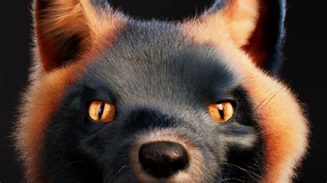 ArtStation - Black Fox Fur / Grooming Project