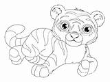 Baby Tiger Cartoon Coloring Page sketch template