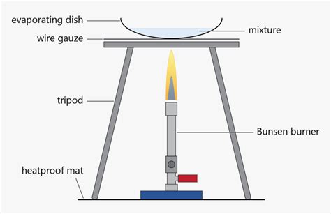 Bunsen Burner: Its Parts And Their Function | Bunsen burner, Bunsen, Burners