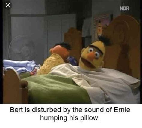 Dark Humored Bert and Ernie Memes Sure To Make You Smile