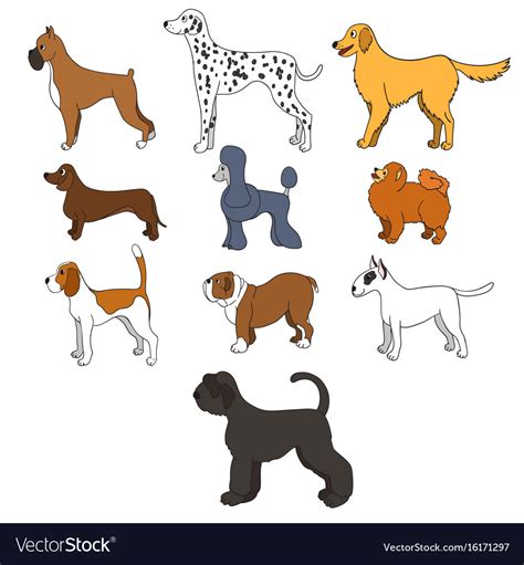 Cartoon Dog Breeds Pet Decal | ubicaciondepersonas.cdmx.gob.mx