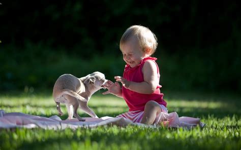 Rosa For Life: Babies With Animals Photos