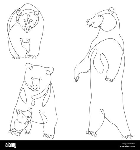 Bear Cub Outline Drawing