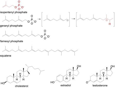 Organic Chemistry of Lipids