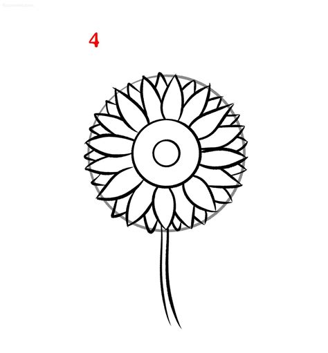 Sunflower Drawing How to draw a Sunflower