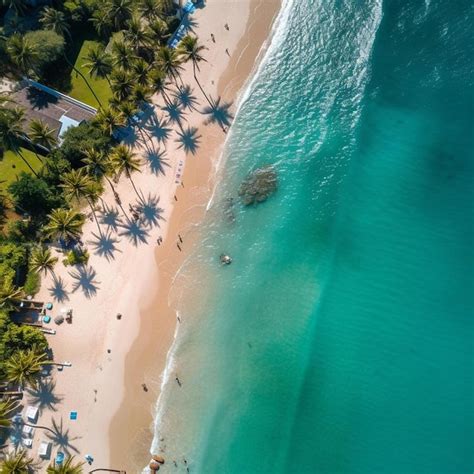 Premium AI Image | a vibrant aerial view of the beach