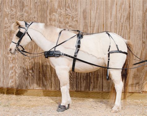 Pleasure Harness for Horses, Donkeys, and Mules Mini thru Pony Size | Chimacum Tack