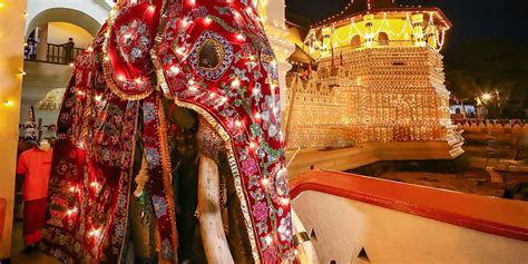 Kandy Perahera 2023 seat booking | Best of Ceylon