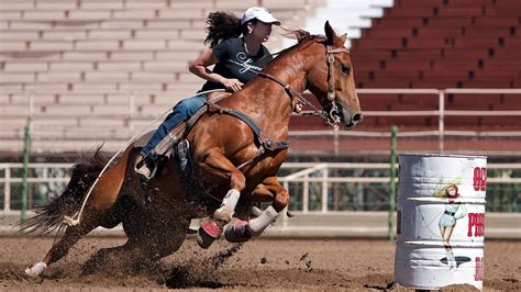 Equestrian Wallpapers - Wallpaperboat