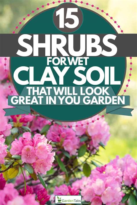 15 Shrubs For Wet Clay Soil That Will Look Great In Your Garden