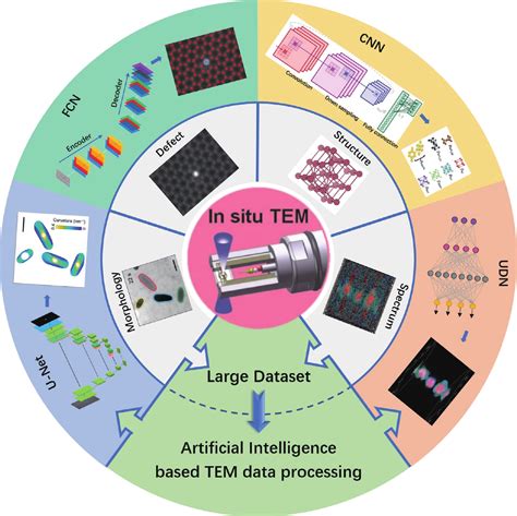 Review in situ transmission electron microscope with machine learning