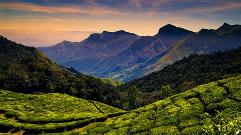 Top 8 Mind-Blowing Hippie Locations in India | Hill station, Kodaikanal, Cool places to visit