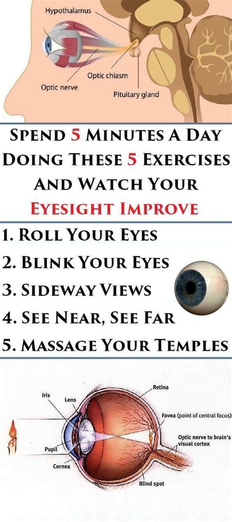 Spend 5 Minutes a Day Doing These 5 Exercises and Watch Your Eyesight Improve - Home Health ...