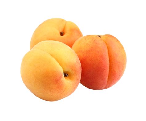 Apricot png transparent background 29228387 PNG