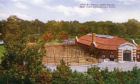 History of the Bronx Zoo : NYC Parks