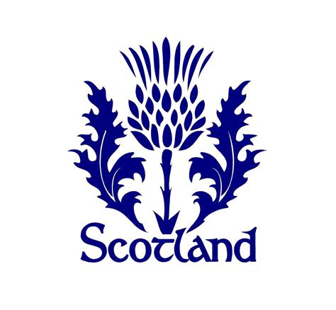 Scotland Thistle Decal Custom Celtic Heritage Vinyl Car Truck Window sticker | Scottish thistle ...