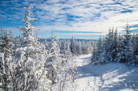 The 8 Best Winter Festivals in Canada | Skyscanner Canada