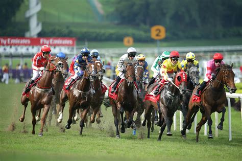 The Singapore Turf Club - Horse Racing in Singapore - Go Guides