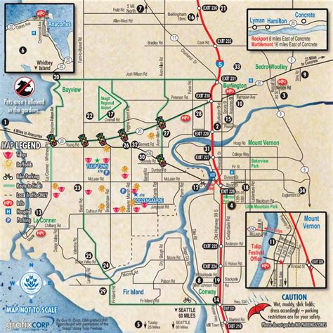 Skagit Valley Tulip Festival - Joy of Exploring - The Scenic Country Drive