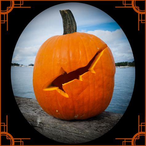 Halloween Pumpkin Carving Stencils | NOAA Fisheries