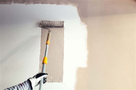 How and When To Paint New Plaster - Promain Resource Centre