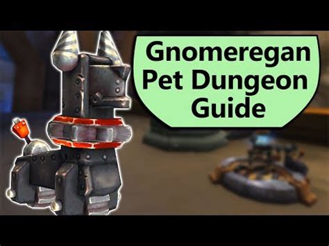 Gnomeregan Pet Battle Dungeon Guide – Game Hitch