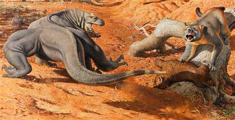 Climate change helped kill off super-sized Ice Age animals in Australia | News | Vanderbilt ...