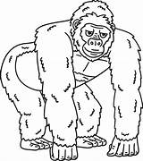 Gorilla Great Apes Animal Isolated Coloring Page 57023872 Vector Art At  sketch template