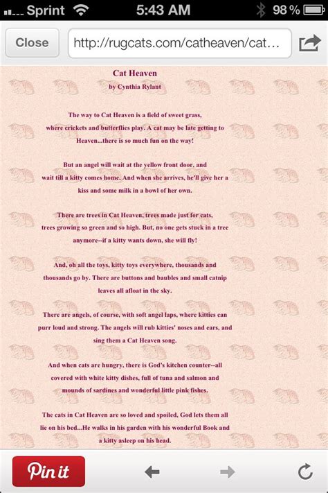 Cat heaven poem part 1 | Heaven poems, Cat heaven, Love you forever