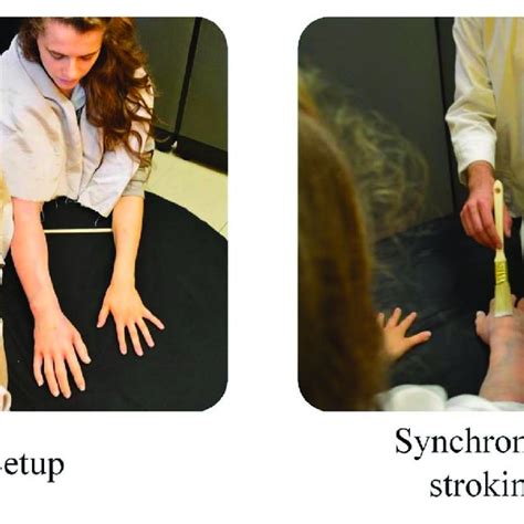 Rubber hand illusion setup. | Download Scientific Diagram