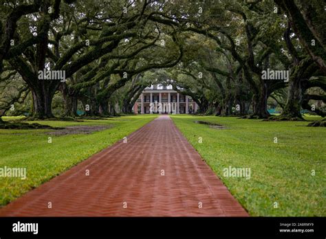 Oak Alley Plantation Stock Photo - Alamy