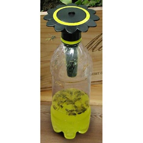 Gadjit WP26135 Soda Bottle Wasp Trap Black - Non Toxic, 1 - Fred Meyer