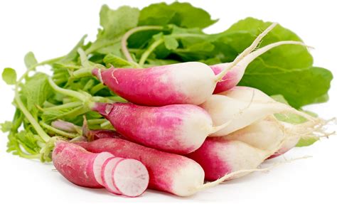 French Breakfast Radish Information, Recipes and Facts