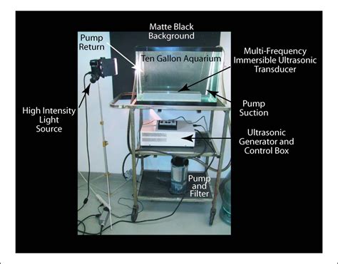 The Ultrasonic Fish Tank in the Lab - CTG Technical Blog