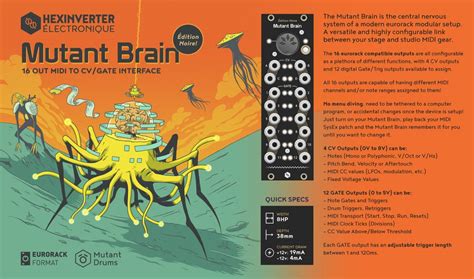 Hexinverter Mutant Brain - Synthesizer New Zealand