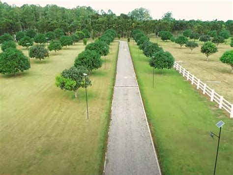 IN PHOTOS: Bea Alonzo's 16-hectare farm in Zambales | GMA Entertainment