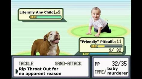 Anti-Pitbull Memes | Pitbulls vs. Toddlers | Know Your Meme