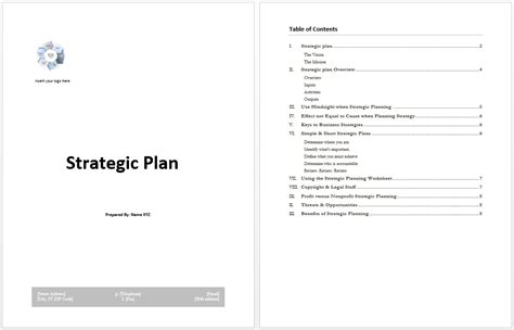 Strategy Plan Template - Microsoft Word Templates