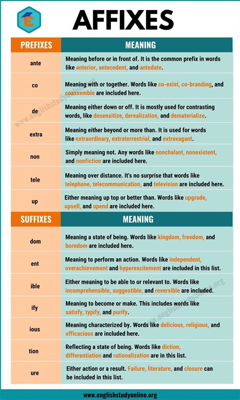 Affixes Definition | List of Common Prefixes & Suffixes - English Study Online