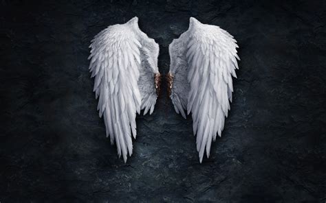 Angel Wings wallpapers and images - wallpapers, pictures, photos