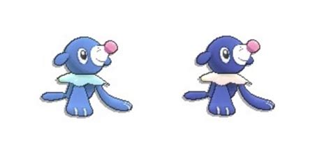 Well, at Least You Tried, Shiny Popplio - Twinfinite