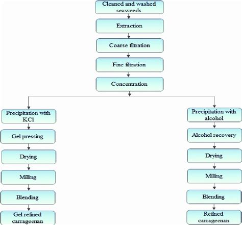 2 Flowchart for the extraction of gel and refined carrageenan from ...