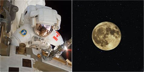 Canada Is Sending An Astronaut Around The Moon In 2023 & It'll Make ...