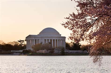 Premium Photo | Cherry Blossom and Jefferson Memorial